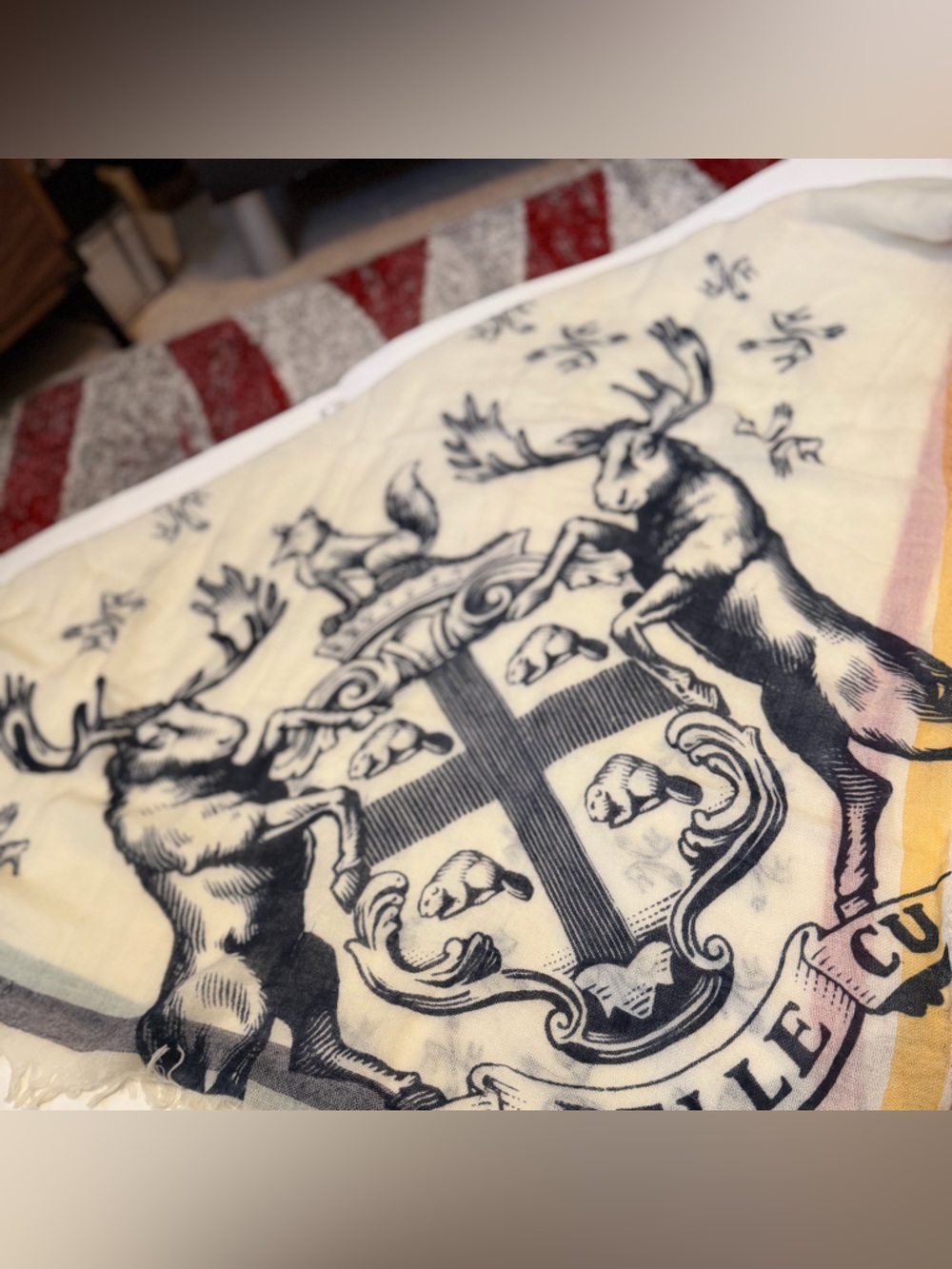 Very rare! Vintage Hudson's Bay Company Lightweight scarf with Crest